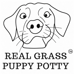 Real Grass Puppy Potty